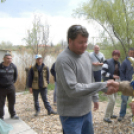 Éhmann Ferenc Emlék Kupa