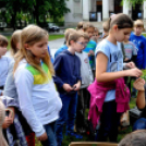 XIX. Kossuth Toborzó - péntek