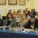 10 millió forint a száguldozók megfékezésére