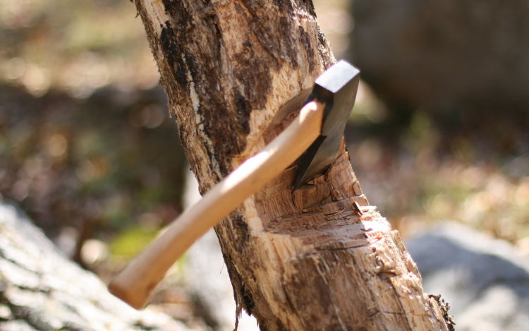 Egész Újszilvás sötétségbe borult egy illegális favágó miatt