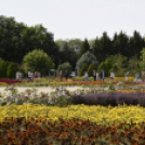 Kováts Zoltán Emlékülés Csemőben