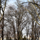 Városi Téli Sportnap