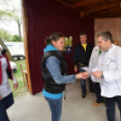 Anyámtyúkja - Csemő