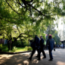 Nemzetközi Jazz Nap