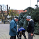 Felállították a város karácsonyfáját
