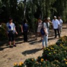 Együttműködésbe kezdett a csemői Marosi Faiskola és a Nemzeti Agrárkutatási és Innovációs Központ