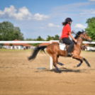 III. Ceglédi Vágta