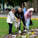 Ments meg egy árvácskát!