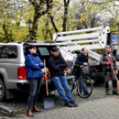 Megérkezett a város karácsonyfája