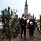 Karácsonyfa díszítő verseny