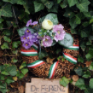 Messze a hazától...