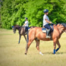 II. Ceglédi Vágta - kísérő rendezvények