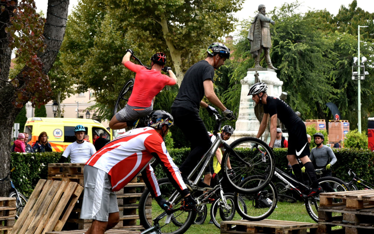 Nemzetközi Triál Bajnokság Cegléden