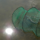 Éhmann Ferenc Emlék Kupa