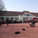 ,,Pindur-Pandúr'' - Közlekedésbiztonsági vetélkedő a Táncsicsban