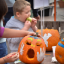 Családi tökfaragás az Oázis Kertészetben