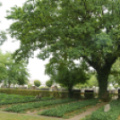 Messze a hazától...