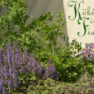 Nyitott Pince Napok - Kökény és Fia Családi Borászat