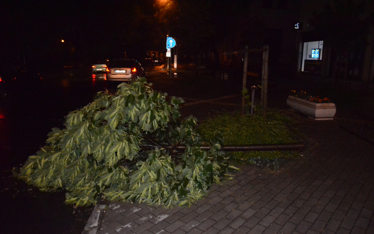 Viharkárok a Ceglédi térségben 