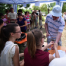 Infineon családi nap