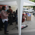 Utcazene fesztivál és koncertek