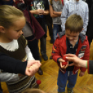 AbrakaVadra - Hartyányi Norbert kiállítása