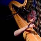 Múzeumok éjszakája