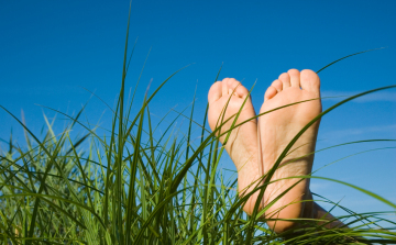 Ceglédi betörők a fűben