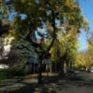 Halló Cegléd - Rákóczi út