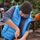 Családi tökfaragás az Oázis Kertészetben