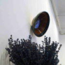 Kiállítás a Ceglédi Galériában