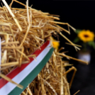 Augusztus 20-i hangulatok