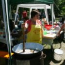 IX. Bor és Laskafesztivál - IV. Ceglédi Vágta