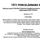 Porcelánbaba kiállítás