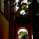 Koncert az Ordas Lajos közben