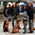 Ünnepeltek a vadászok