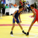 Birkózó Diákolimpia Országos Döntő