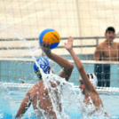 Ceglèdi Vasutas Sport Egyesület - Csabai Csirkefogók VK  (Bèkèscsaba)  9 - 8 