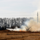 Száraz növényzet égett