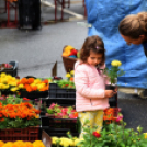 Régi idők piacztere - fotó: Kisfaludi István