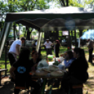 Csemői - Anyám tyúkja