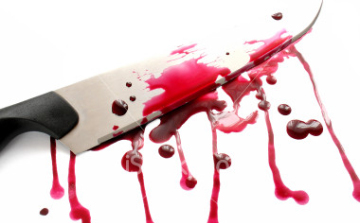 Gyilkosságba fulladt az ünnep Csemőn