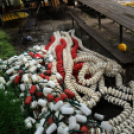 Városi Strandfürdő - Tereprendezés I.