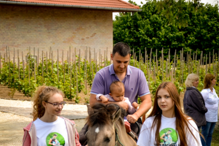 Nyitott Pince Napok - Kökény és Fia Családi Borászat