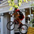 Országos triál bajnokság Cegléden