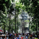 Főzőverseny a Laskafesztiválon