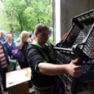 Szebb, virágosabb Ceglédért