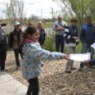 Éhmann Ferenc Emlék Kupa