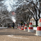 Arany Oroszlán Sport- és Egészségnap Cegléden