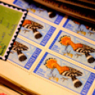 Füle Mihály grafikus, festőművész kiállítása